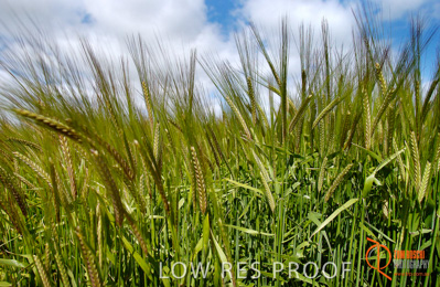 July 2001 / SA_RURAL_408__010702_DSC_6398