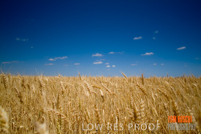 October 2006 / RURAL-00001