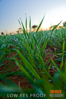 June 2007 / RURAL-00025