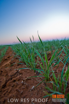 June 2007 / RURAL-00027