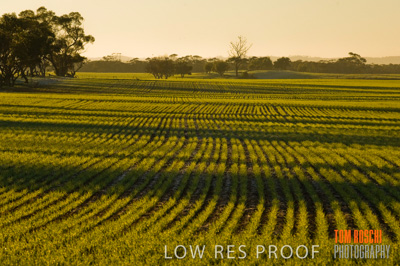 June 2007 / RURAL-00033