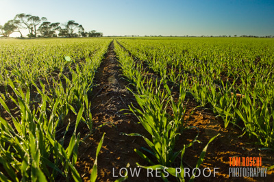 June 2007 / RURAL-00044