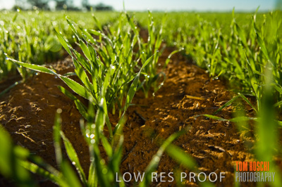 June 2007 / RURAL-00046