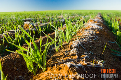 June 2007 / RURAL-00047