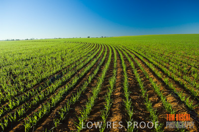 June 2007 / RURAL-00058