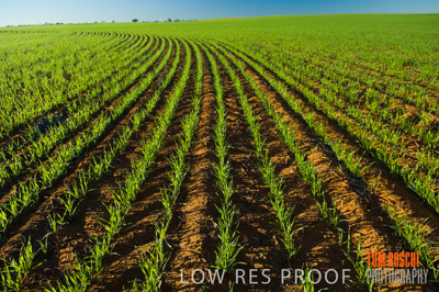 June 2007 / RURAL-00062