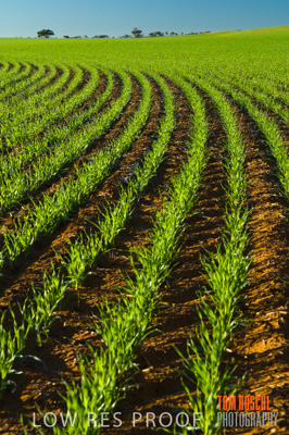 June 2007 / RURAL-00068