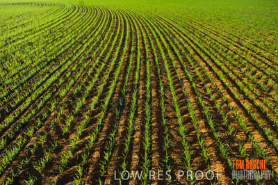 June 2007 / RURAL-00073