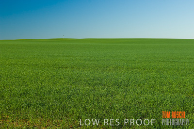 June 2007 / RURAL-00076