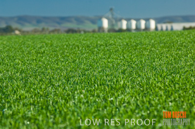 June 2007 / RURAL-00088