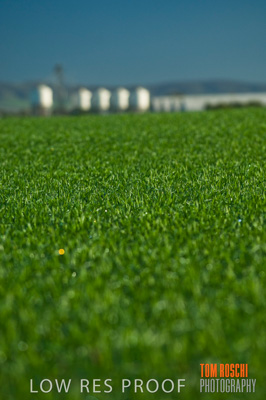 June 2007 / RURAL-00089