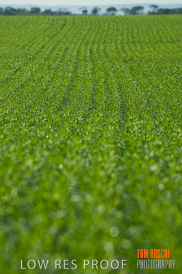 June 2007 / RURAL-00091