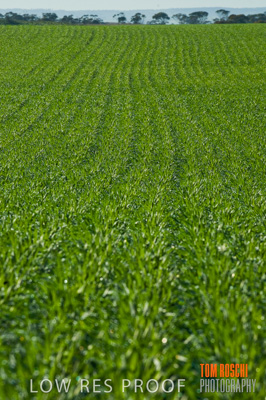 June 2007 / RURAL-00092