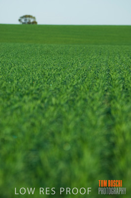 June 2007 / RURAL-00096