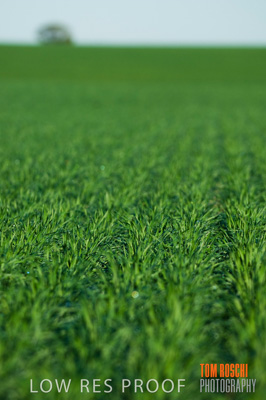 June 2007 / RURAL-00098