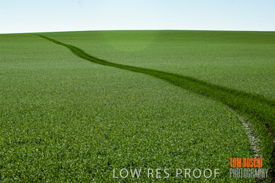 June 2007 / RURAL-00101