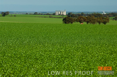 June 2007 / RURAL-00123