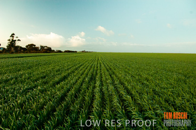 August 2007 / RURAL-00126