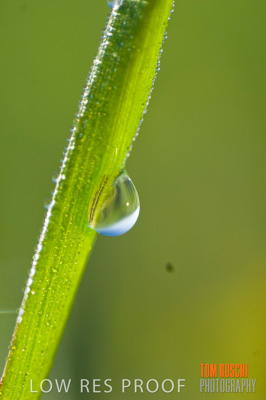 August 2007 / RURAL-00153