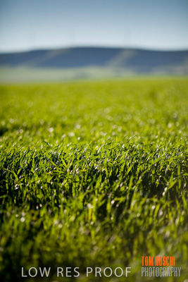 July 2008 / RURAL-00195