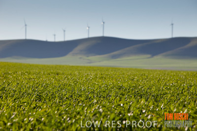 July 2008 / RURAL-00198