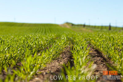 July 2008 / RURAL-00204