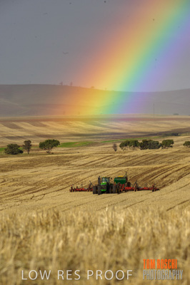 May 2009 / RURAL-00208