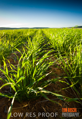 July 2009 / RURAL-00223