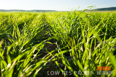 July 2009 / RURAL-00225