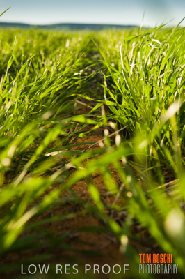 July 2009 / RURAL-00228