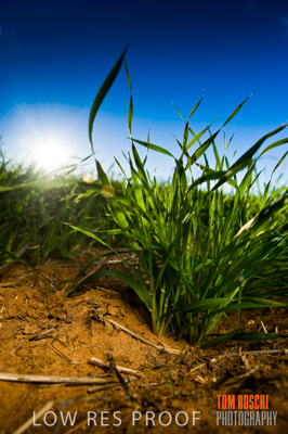 July 2009 / RURAL-00229