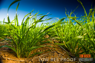 July 2009 / RURAL-00230