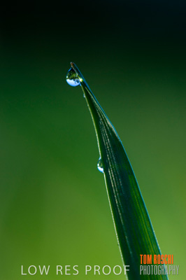 July 2009 / RURAL-00231