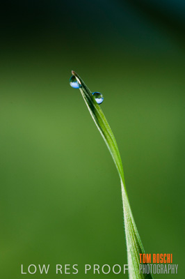 July 2009 / RURAL-00235