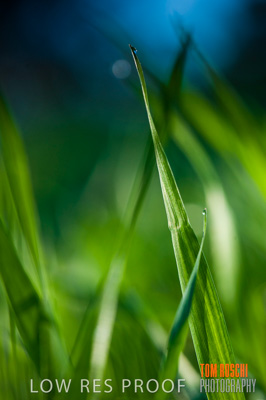 July 2009 / RURAL-00238