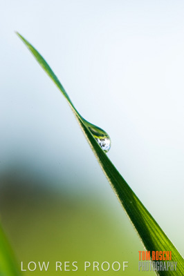 July 2009 / RURAL-00240