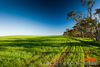 July 2009 / RURAL-00243