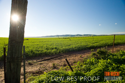 July 2009 / RURAL-00249