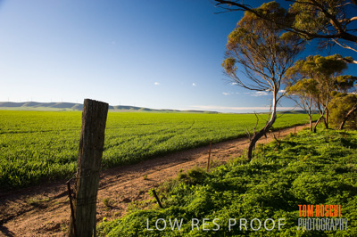 July 2009 / RURAL-00251