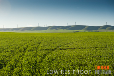 July 2009 / RURAL-00253