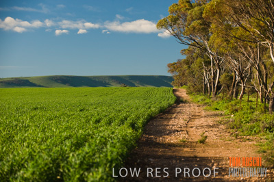 July 2009 / RURAL-00259