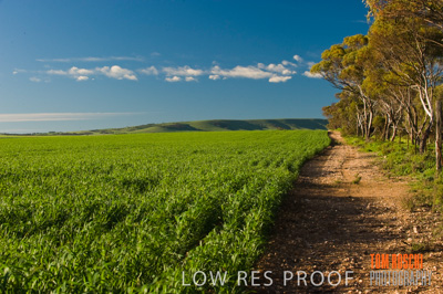 July 2009 / RURAL-00263