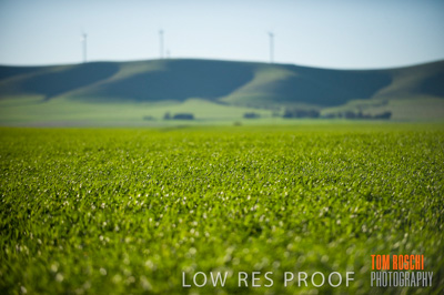 July 2009 / RURAL-00265