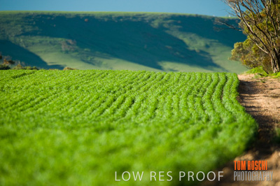 July 2009 / RURAL-00271