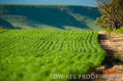 July 2009 / RURAL-00272