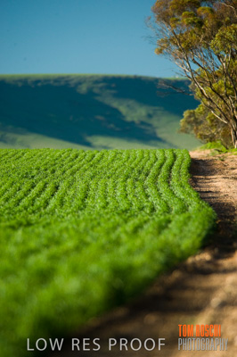 July 2009 / RURAL-00274