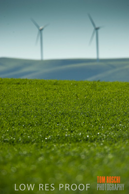 July 2009 / RURAL-00278