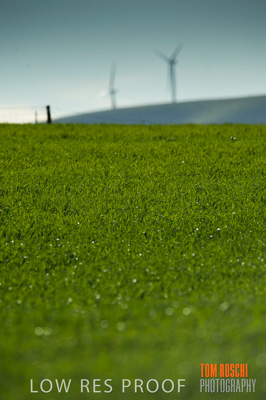 July 2009 / RURAL-00279