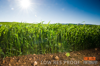 July 2009 / RURAL-00285