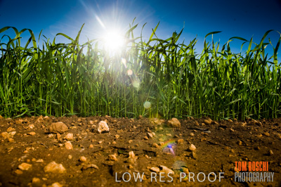 July 2009 / RURAL-00287